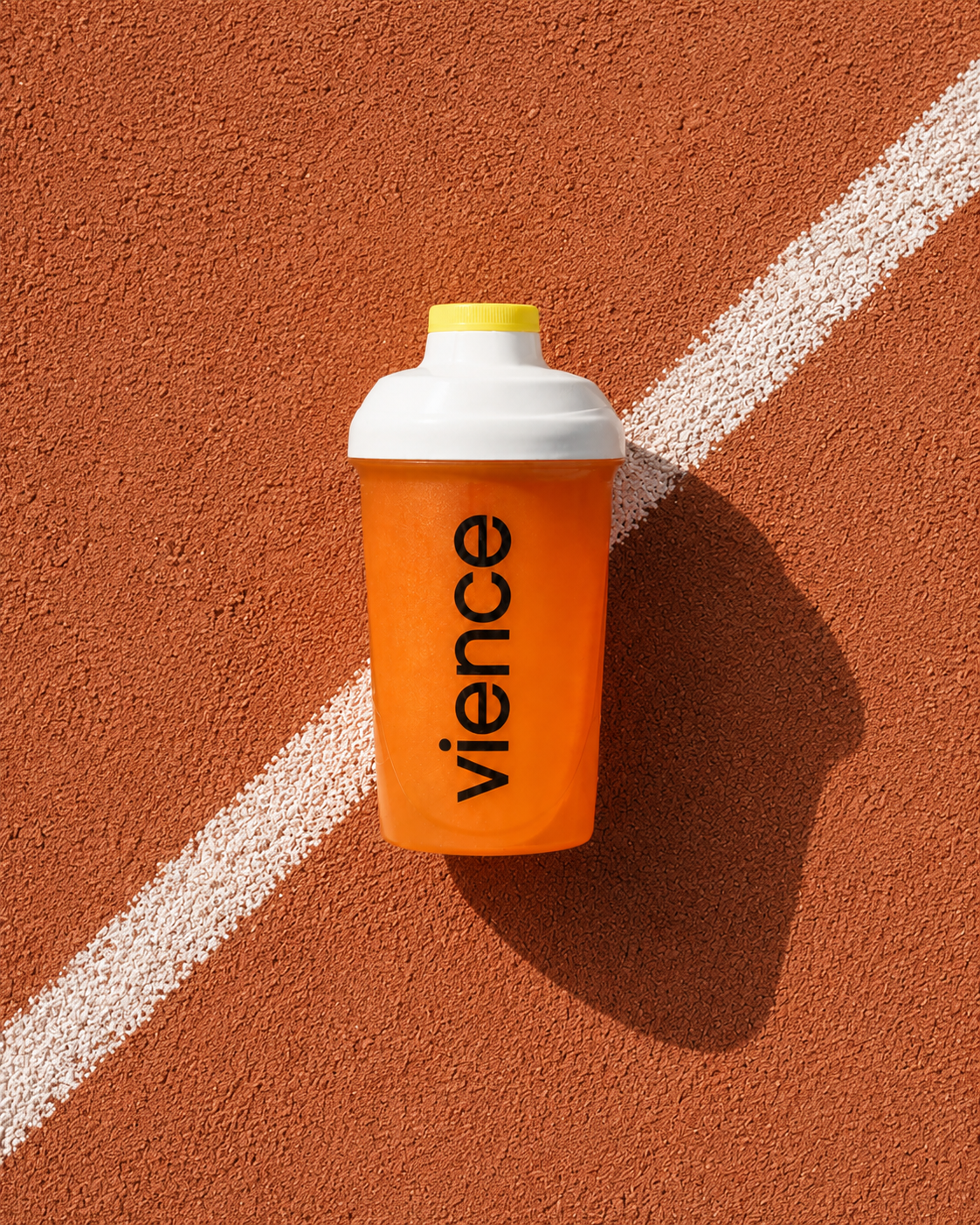 Shaker Vience